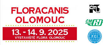 Mezinárodní výstava psů Olomouc